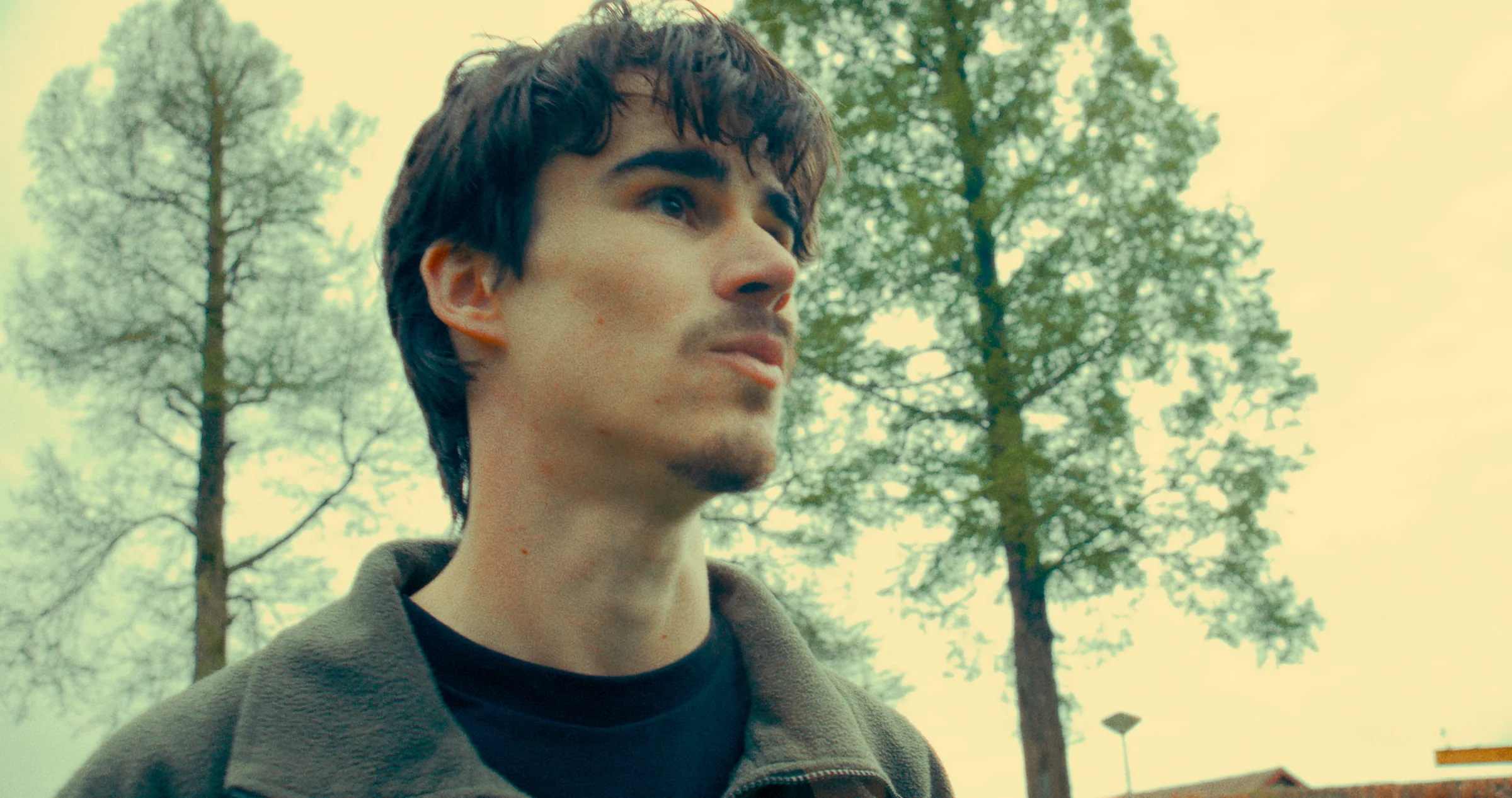 A young man looks across the woods in muted green light.